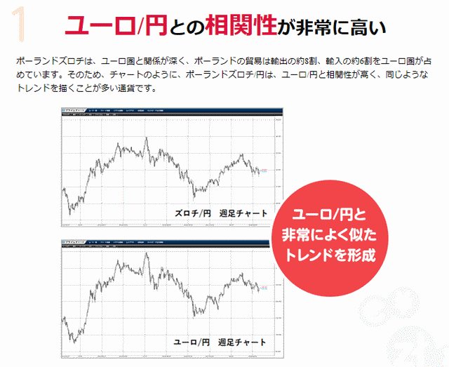 ズロチユーロ相関性
